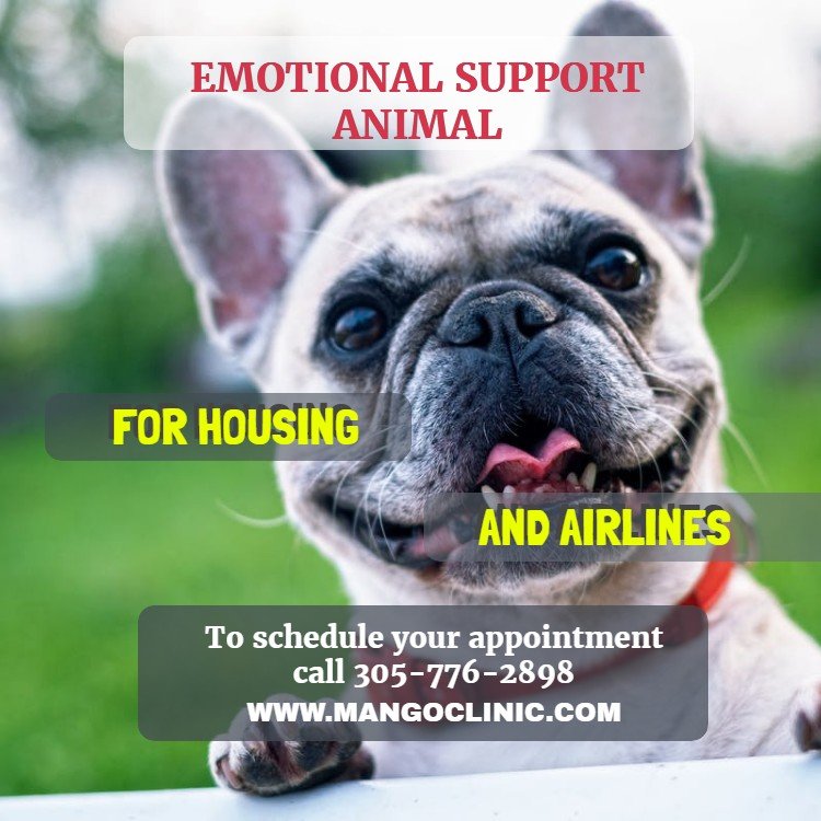 Emotional Support animal Letter