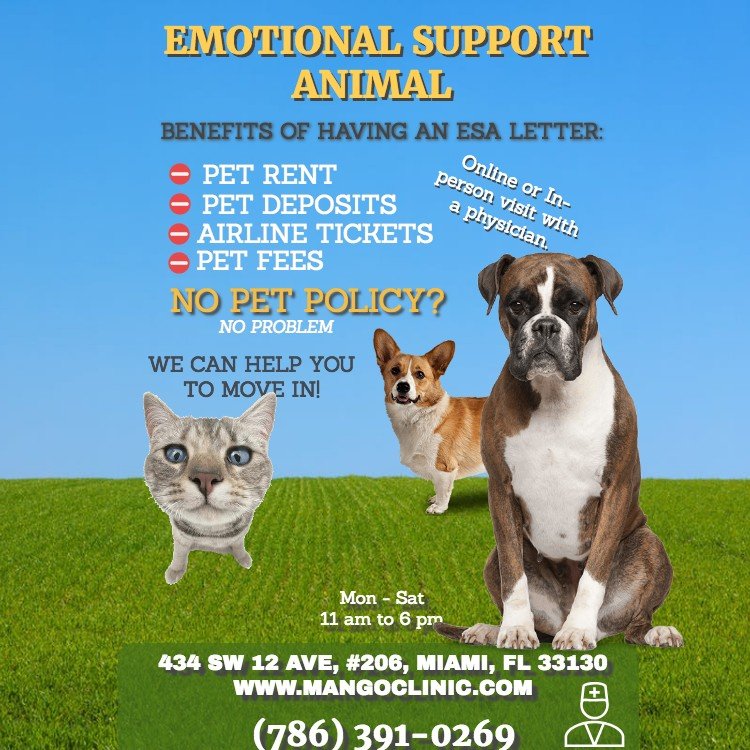 I need an emotional best sale support animal