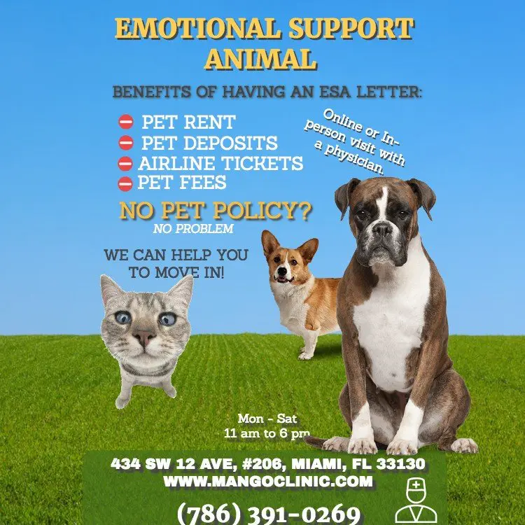 Esa best sale emotional support