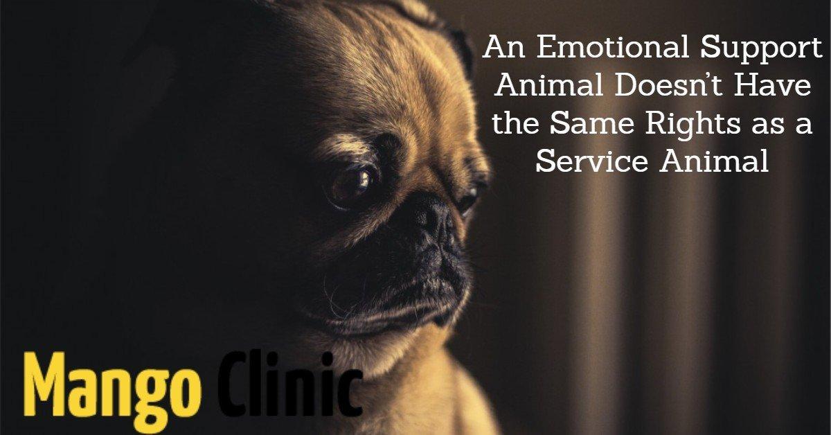 Emotional Support Animal Rights