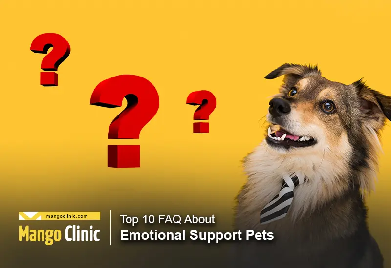 Top 10 FAQ About Emotional Support Pets – Mango Clinic