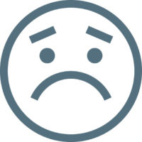 fl esa icon sad