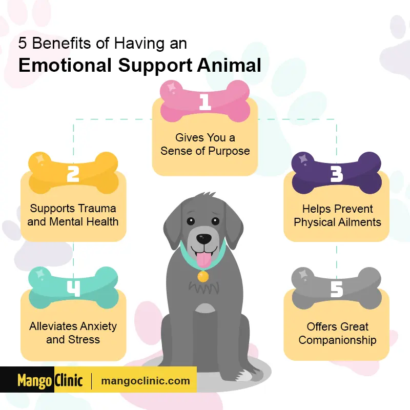 Veteran emotional sales support animal