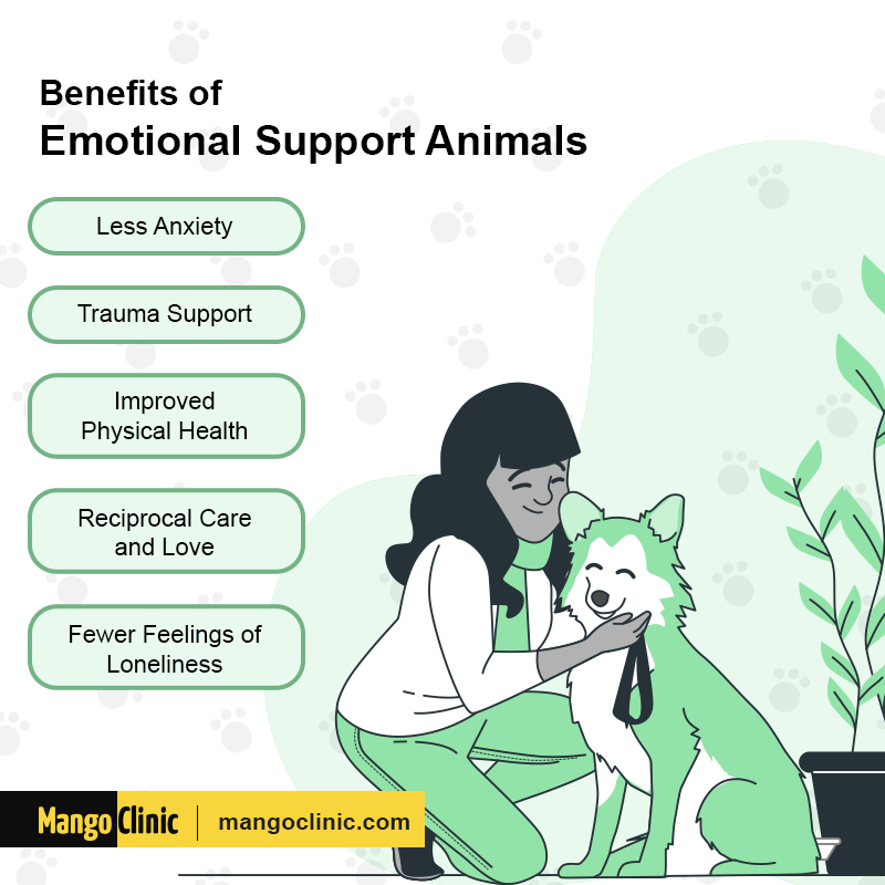 Emotional Support Animals