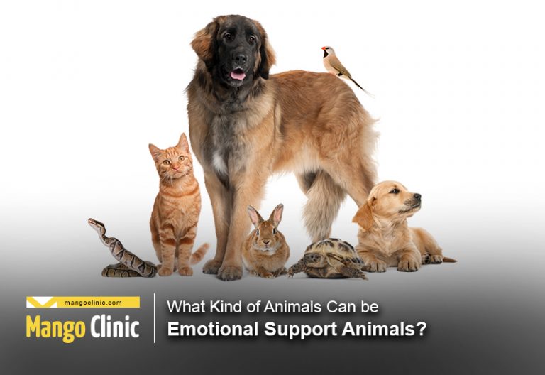 What Kind Of Animals Can Be Emotional Support Animals?