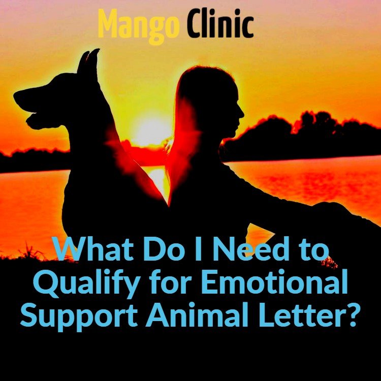 What-Do-I-Need-to-Qualify-for-Emotional-Support-Animal-Letter_.jpg