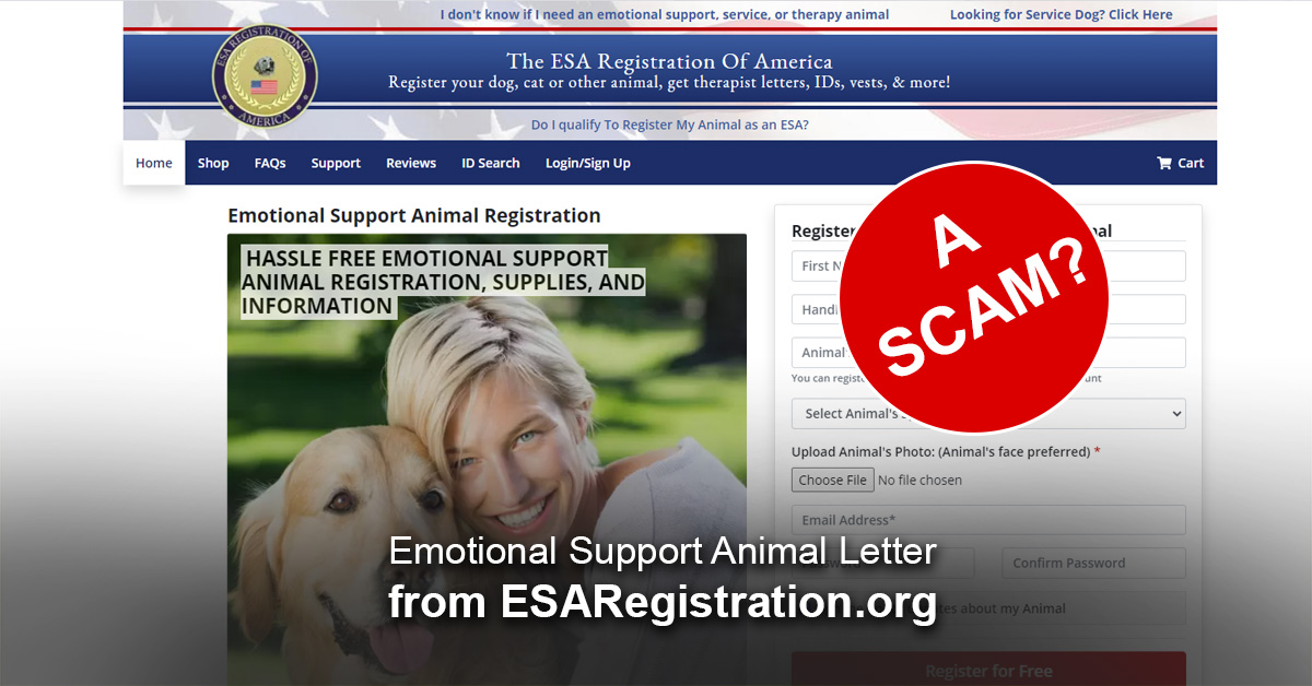 Emotional Support Animal Letter from  – Review