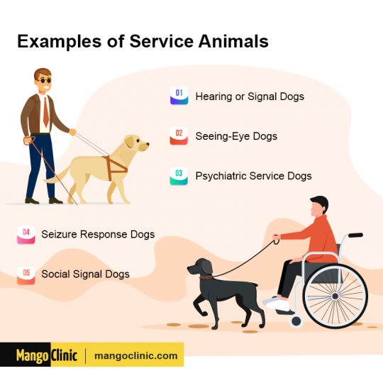 Are Emotional Support Animals Covered Under the ADA? Mango Clinic