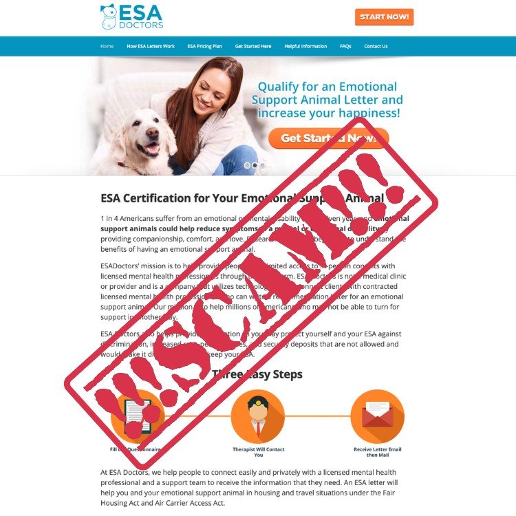 esa certified dog