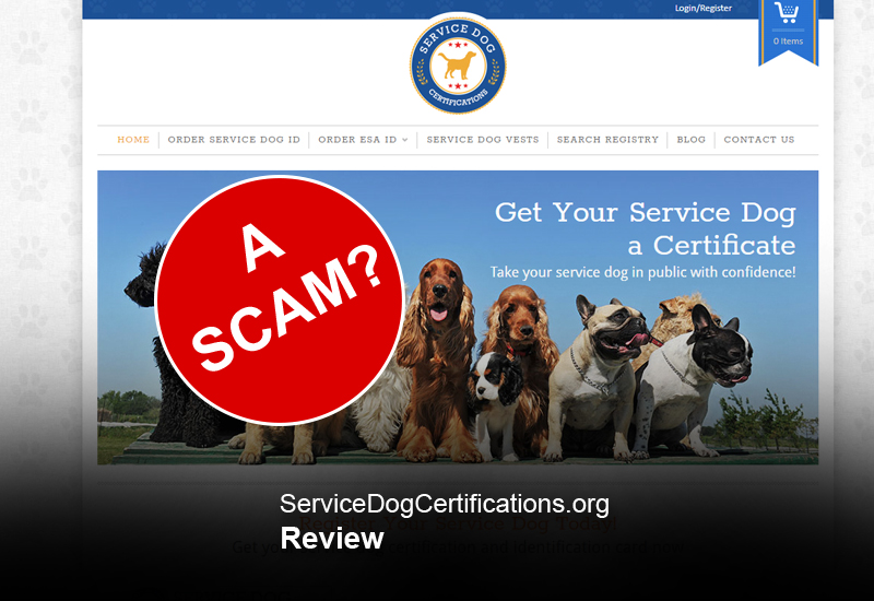 how to get your dog a service dog certificate