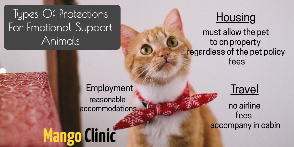 ESA pets and their protections