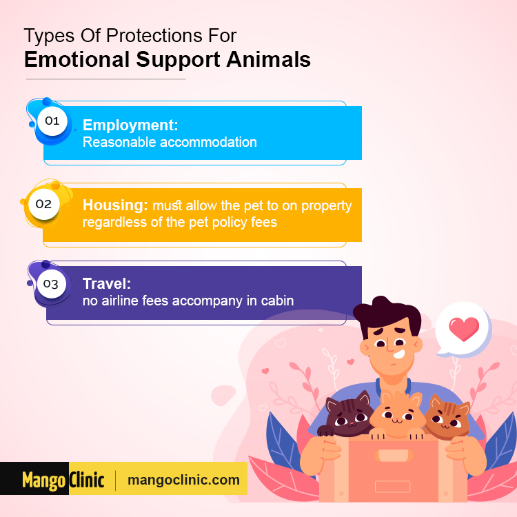 Emotional Support Animal rights