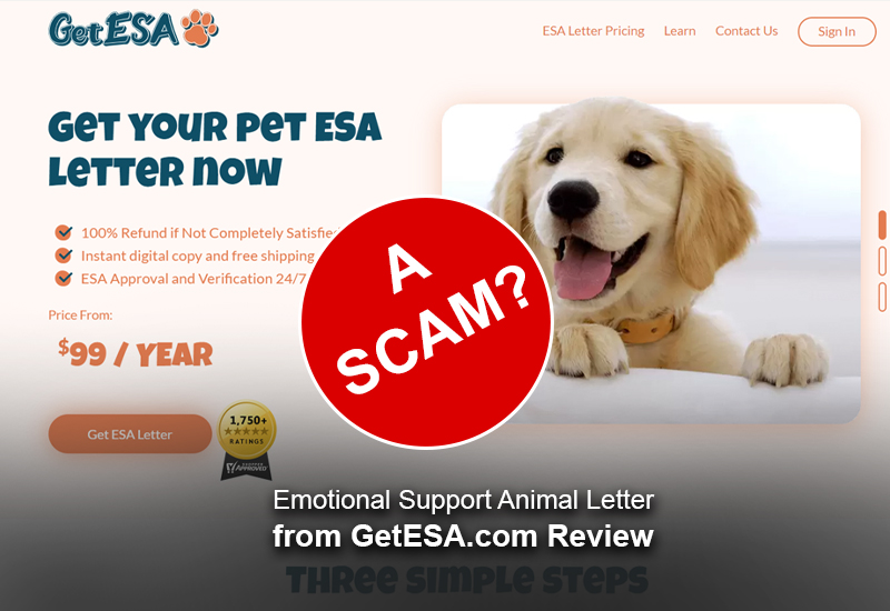 can i get an esa letter before getting a dog