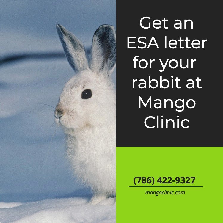 ESA rabbit