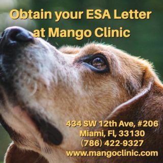 Esa letter for your dog