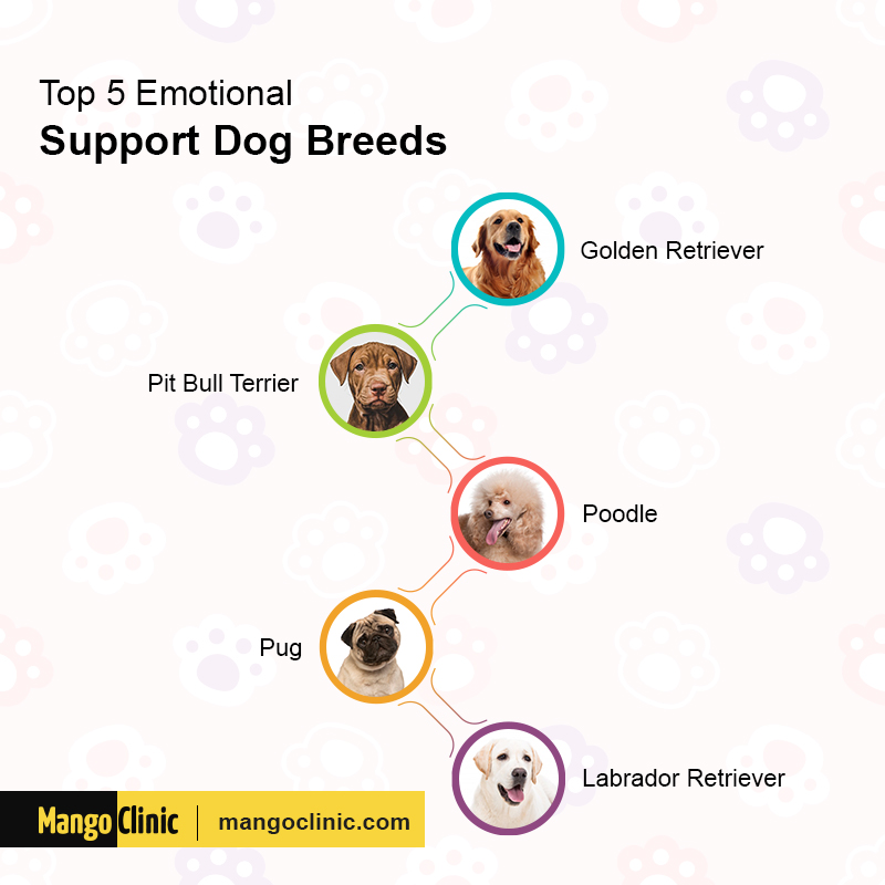 Most emotional sale dog breeds