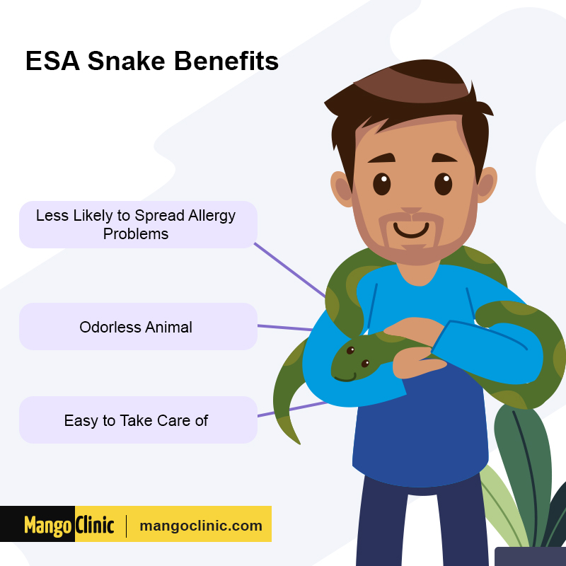 Can A Snake Be An Emotional Support Animal? - Therapy Pets Unlimited