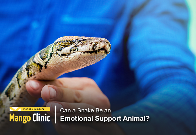 Emotional Support Animal