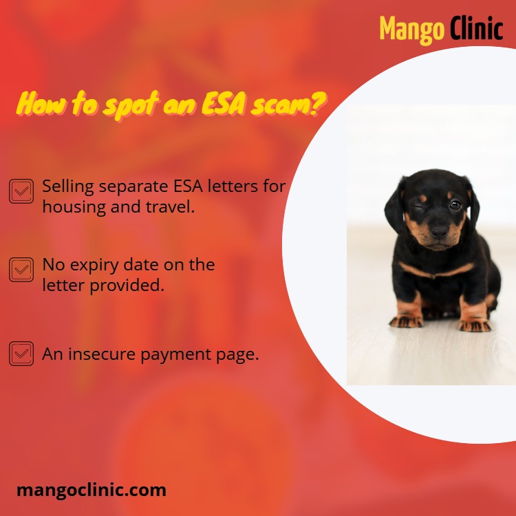 Spot an ESA scam