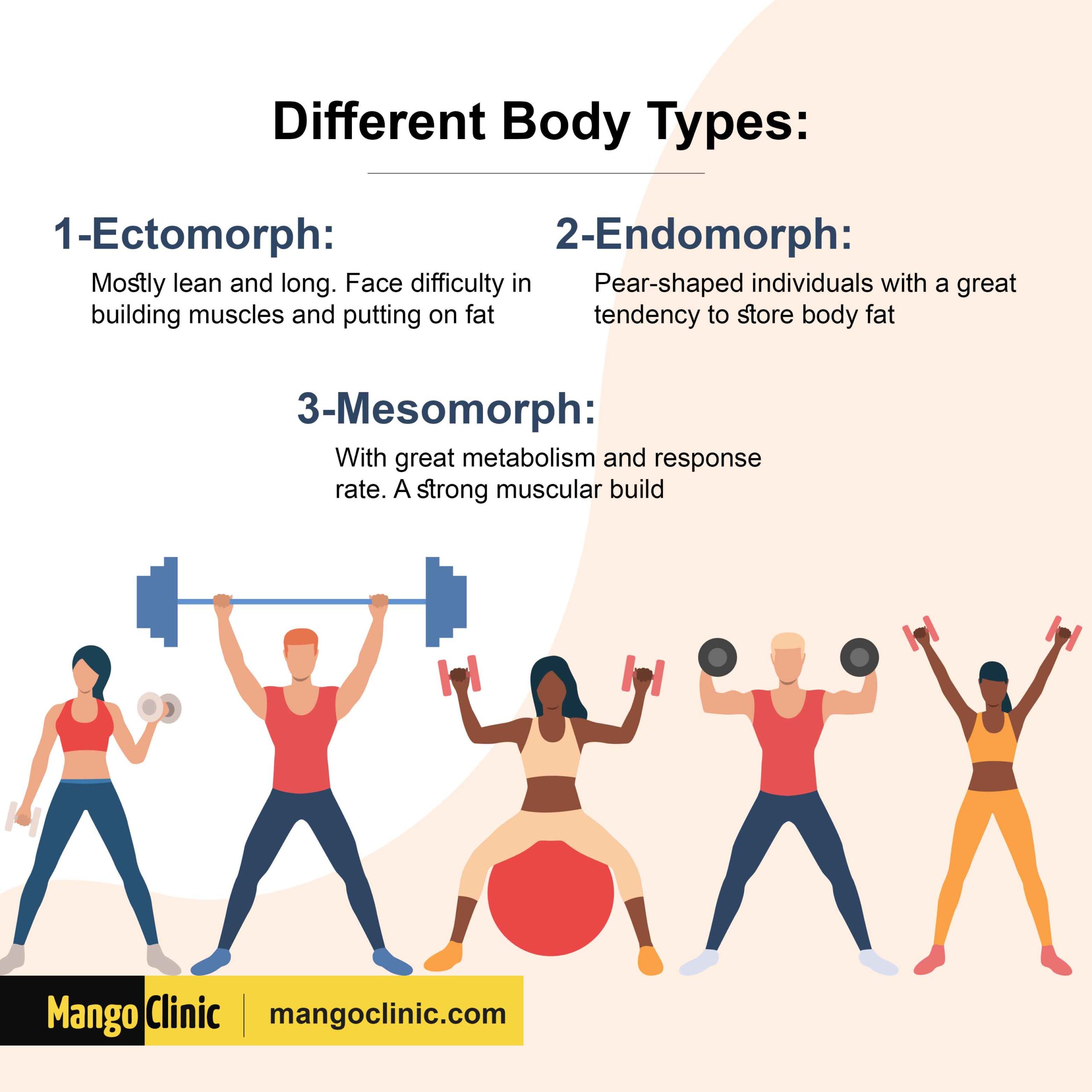 Different Body Types