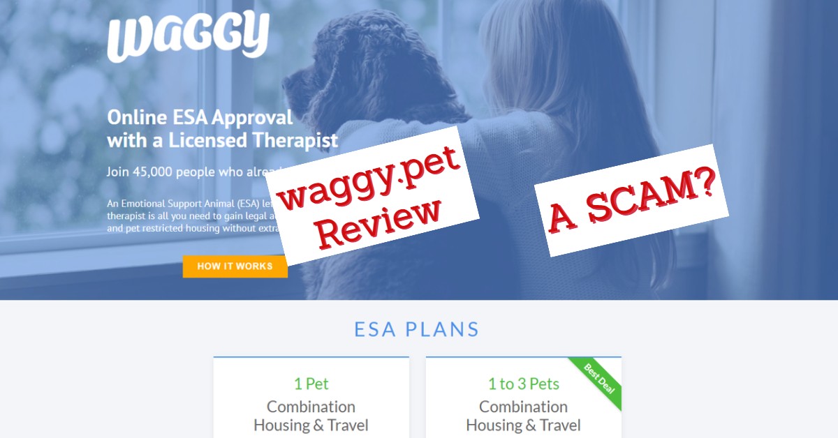 WAGGY-REVIEW.jpg