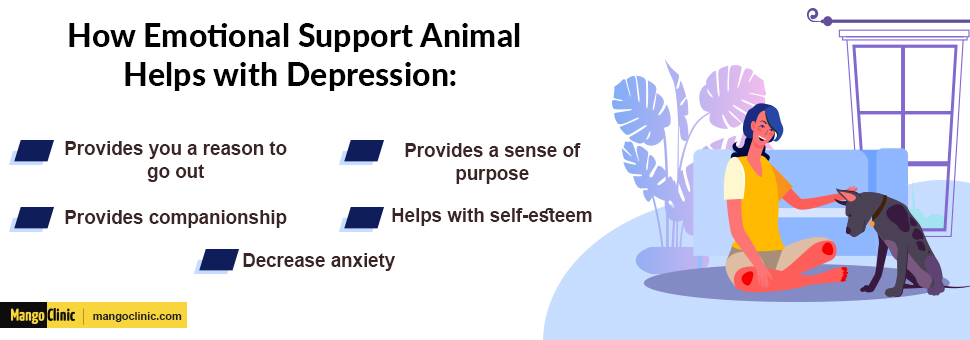 How emotional support animal help with depression