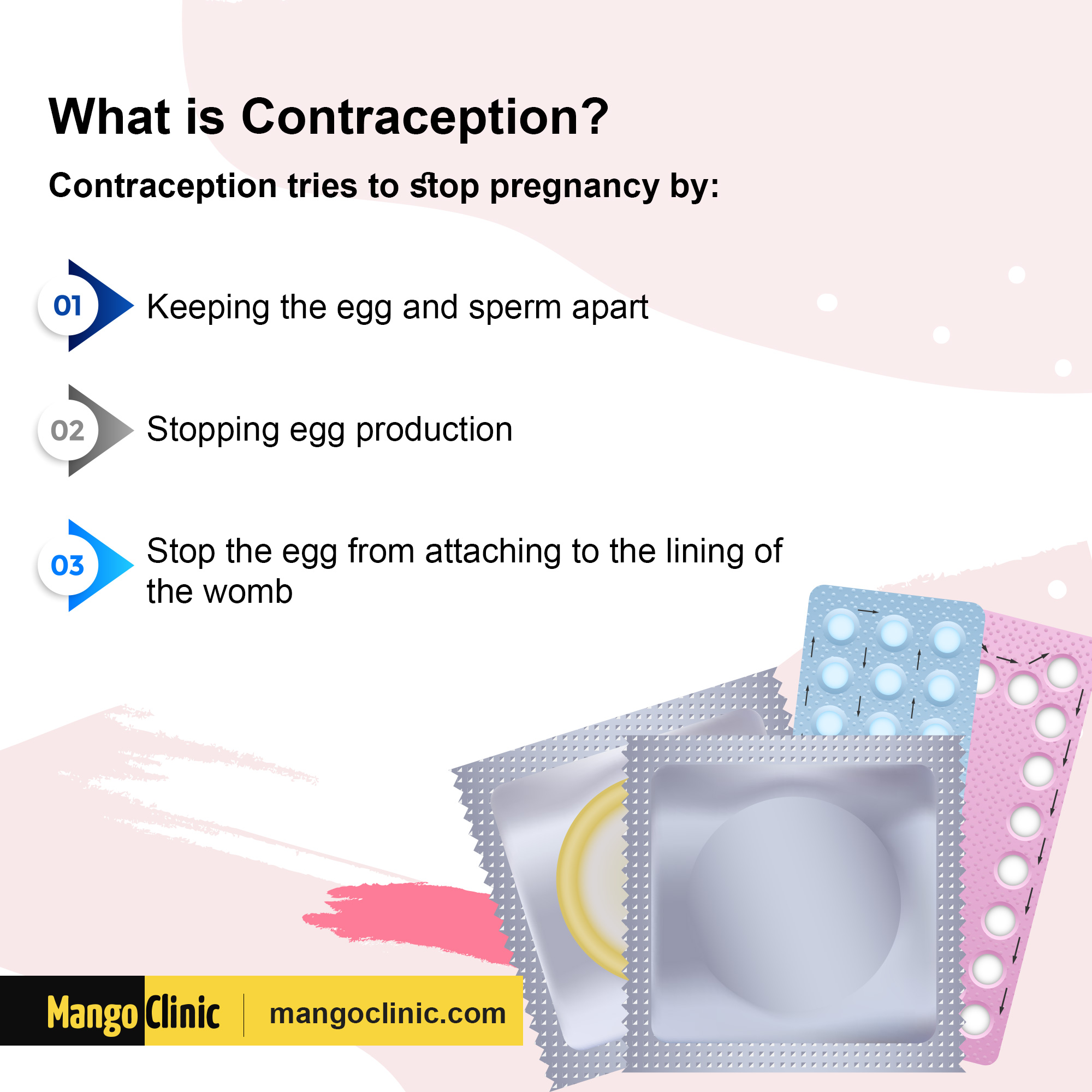 What is Birth Control