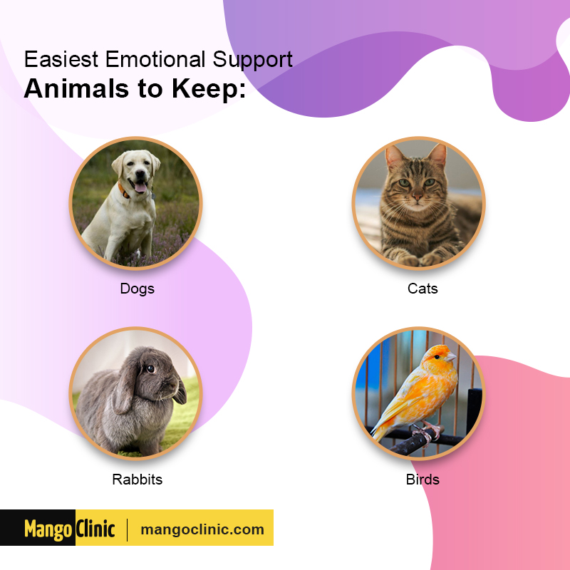 Emotion support animals