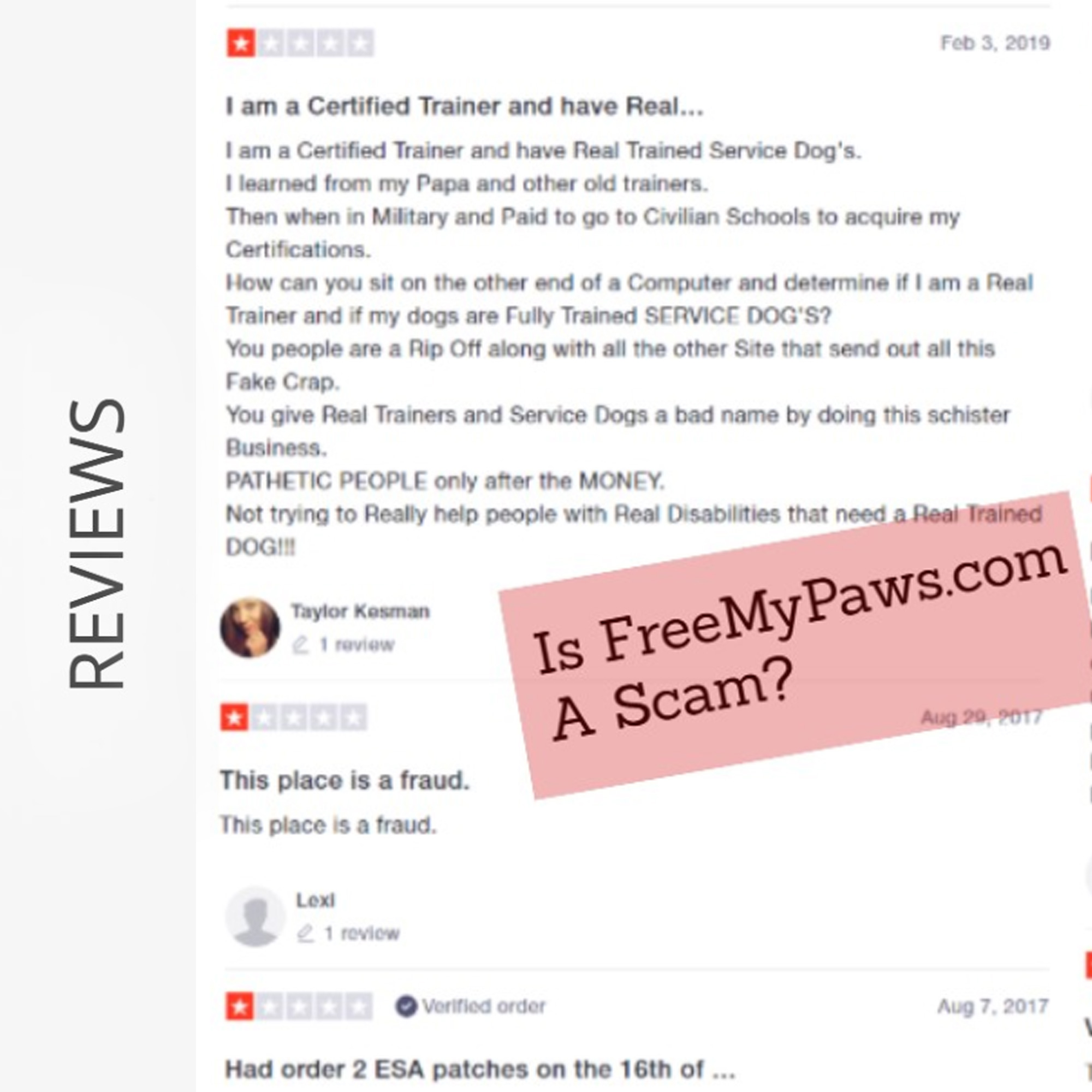 freemypaws.com Review