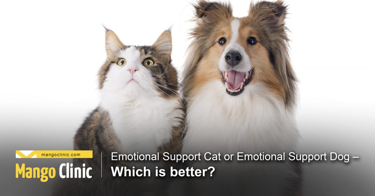ESA cat or ESA dog?