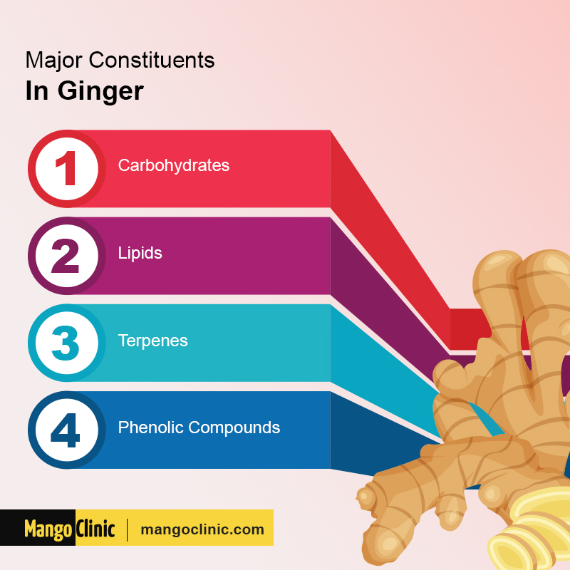 Constituents In Ginger
