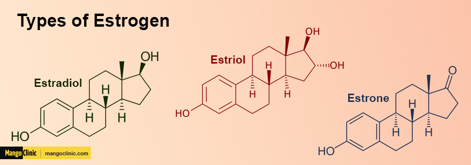 Estrogen