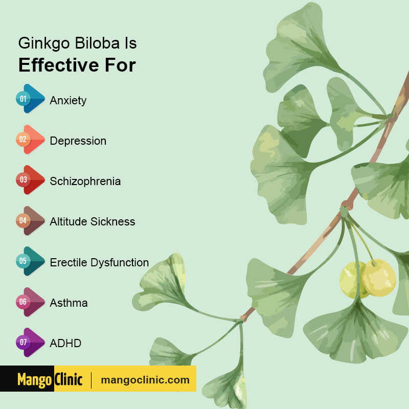 Ginkgo Biloba