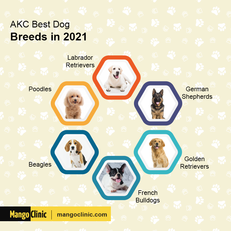 Dog Breeds