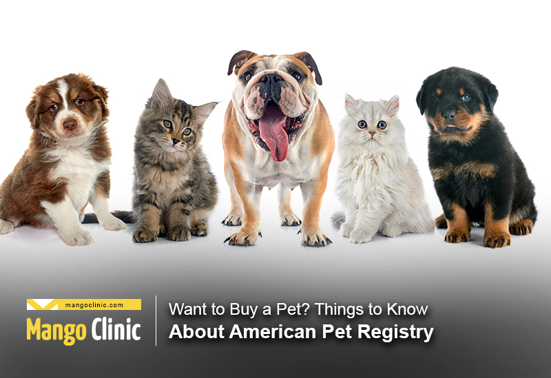 American Pet Registry