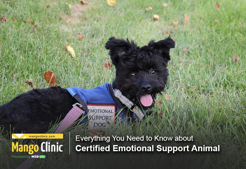 Emotional Support Animal