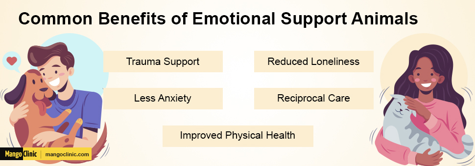 Emotional Support Animals