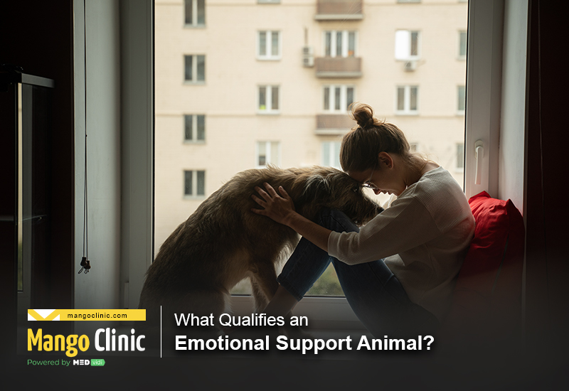 Animals for Emotional Support