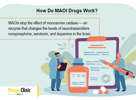 How do MAOI drugs work