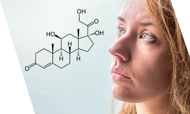 Does cortisol cause anxiety