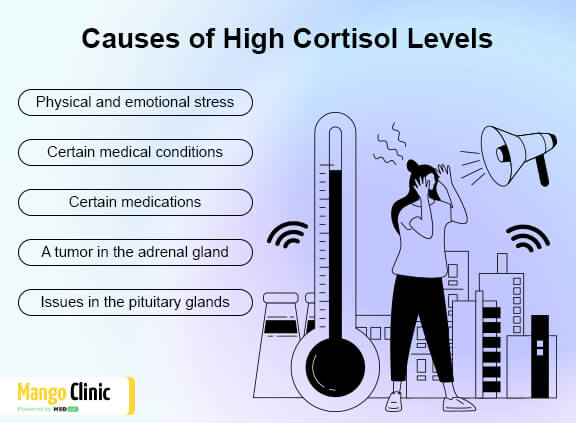 Cortisol levels and anxiety