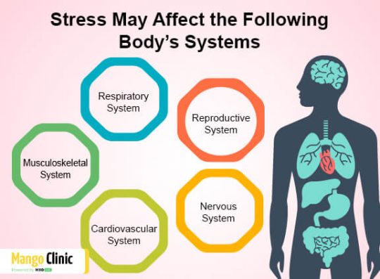 Long-term effects of stress on the body – Mango Clinic